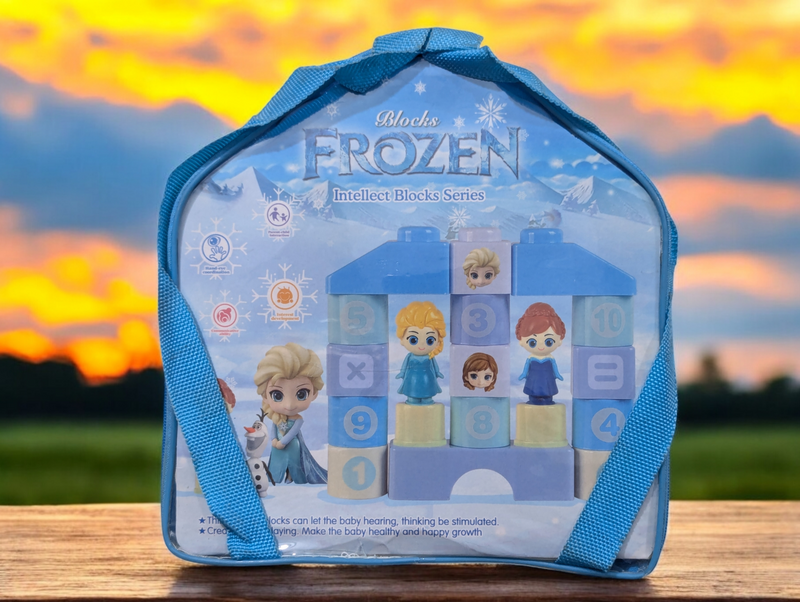 26-Piece Frozen Edition Learning Blocks – Fun & Educational for Little Kids!